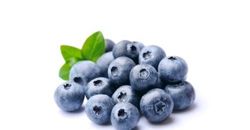 Blueberry (Packet)